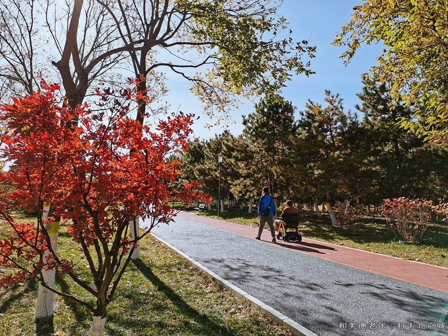 北京大興念壇公園古幽州所在地園內湖泊很漂亮很適合親子游