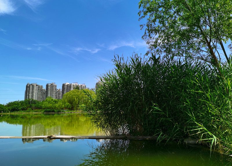 和美德老張打卡北京城第88期由乾隆賜名的太陽宮公園